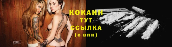 гашик Белая Холуница