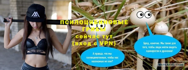 соль курить ск Абаза
