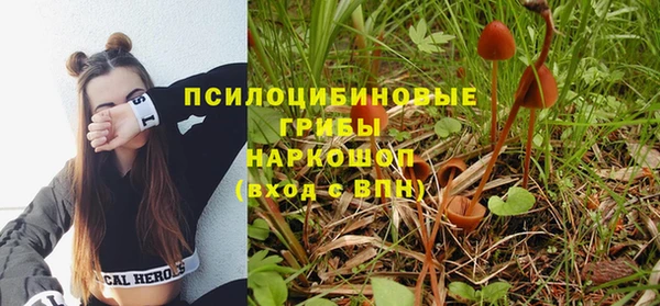 таблы Няндома
