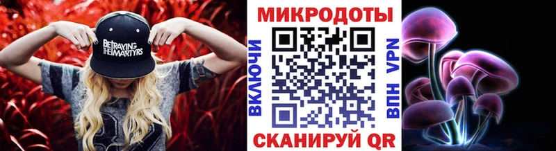 купить закладку  Кириллов  Галлюциногенные грибы MAGIC MUSHROOMS 